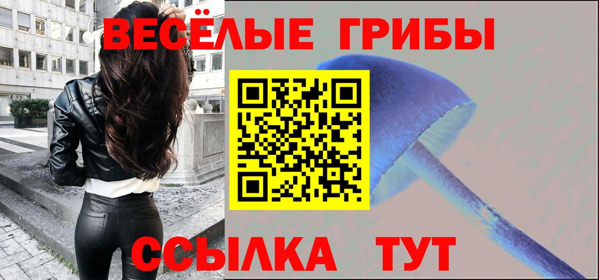 Псилоцибиновые грибы Magic Shrooms Гусиноозёрск
