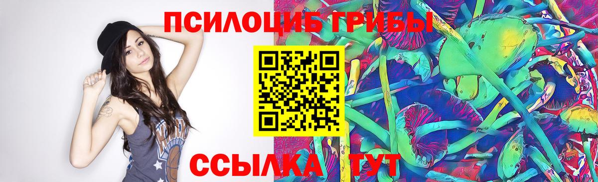 Псилоцибиновые грибы Cubensis  Вход с VPN  Гусиноозёрск 